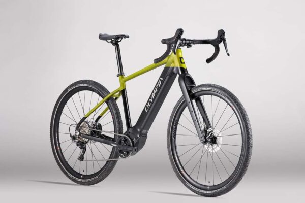 OLYMPIA SLED - E-Gravel Polini ep3+ Evo - immagine 2